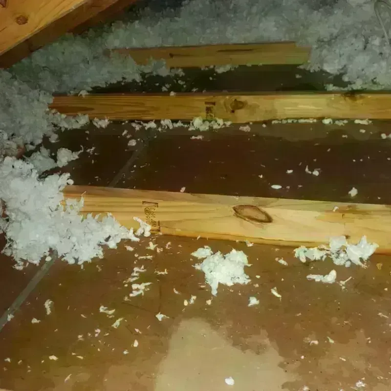 Attic Water Damage in Lincoln County, MS